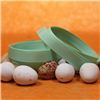 Order  Easter Ribbon - Easter Lime